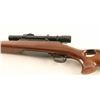 Image 3 : Winchester Model 70 .30-06 Spfld SN: 235956