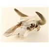 Image 1 : Bull Skull