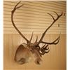 Image 1 : Caribou Mount