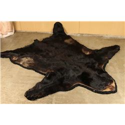Black Bear Rug