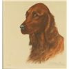 Image 1 : Irish Setter Dog by Leon Danchin
