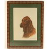 Image 2 : Irish Setter Dog by Leon Danchin