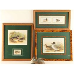Lot of (3) Duck Prints