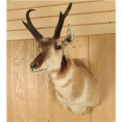 Antelope Mount