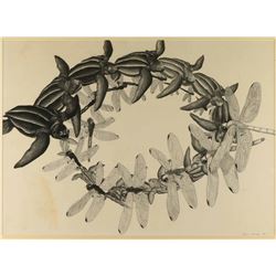 Original Pencil on Paper