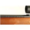 Image 4 : Marlin Model 25N .22 LR SN: 01299864