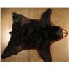 Image 2 : Bear Rug
