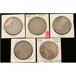 Lot of 5 Morgan Silver Dollars