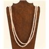 Image 2 : Pink Freshwater Pearl Necklace