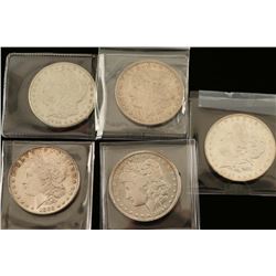 Lot of 5 Morgan Silver Dollars