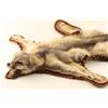 Image 2 : Fox Pelt