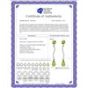 Image 2 : Genuine 4.3 ctw Peridot Earrings 14KT White Gold - REF-23Y5F