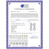 Image 2 : 0.19 CTW Diamond Earrings 14K White Gold - REF-22Y9X