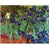 Image 1 : Van Gogh - Irises