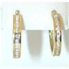 Image 1 : 4108 10k Gold Diamond Earrings