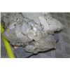 Image 13 : Large Stone Quartz Cluster 29" Long
