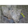 Image 6 : Large Stone Quartz Cluster 29" Long