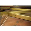 Image 14 : Chickering Baby Grand Piano 54" Depth, 60" Wide, 37" Ht