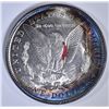 Image 2 : 1921 MORGAN DOLLAR  CH BU  RAINBOW BULLSEYE TONING