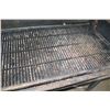 Image 8 : Large Propane Party BBQ Grill