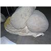 Image 2 : Contents of Pallet: Misc. Tent Canopies