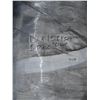 Image 9 : Misc. Tent Canopies