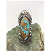 Image 1 : Turquoise and Sterling Silver Ring by Peterson Johnson