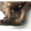 Image 8 : Clark Bronson- All In Fun- Bronze