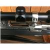Image 16 : Ruger M77 Mark II .204 with Scope
