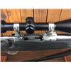Image 20 : Ruger M77 Mark II .204 with Scope