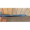 Image 16 : Henry Golden Boy .22 Long Rifle