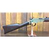 Image 1 : Henry Golden Boy .22 Long Rifle