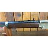 Image 21 : Henry Golden Boy .22 Long Rifle