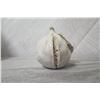 Image 8 : White Glazed Ceramic Fruit Bowl Décor w/ Misc. Fruit, Signed By Artist