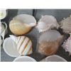 Image 8 : Qty 16 Misc Shell Candles, Metal 3 Votive Handle Holder & Egg Candles