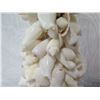 Image 8 : The Plantation' White Seashells Tree, 14" Tall