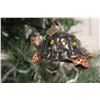 Image 8 : Jay Strongwater Christmas Tree Ornament Beaded Turtle 4" Long