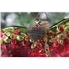 Image 3 : Jay Strongwater Christmas Tree Ornament Beaded Red 2003 Heart 5" Long