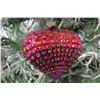 Image 2 : Jay Strongwater Christmas Tree Ornament Beaded Red Heart 4" Diameter