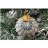 Image 2 : Jay Strongwater Christmas Tree Ornament Beaded Clam Shell 3.5" Long