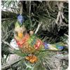 Image 1 : Jay Strongwater Christmas Tree Ornament Beaded Bird 3" Long