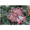 Image 2 : Qty 2 Jay Strongwater Christmas Tree Ornament Butterflies Approx. 3.5" Long