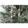 Image 8 : Qty 2 Jay Strongwater Christmas Tree Ornament - Pearl Angels, Approx. 3" Long