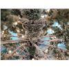 Image 11 : Full-Size Artificial Flocked & Lighted Christmas Tree