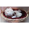 Image 3 : PAIR WICKER HANDLED BASKETS, WHITE PLUSH KITTEN