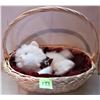 Image 4 : PAIR WICKER HANDLED BASKETS, WHITE PLUSH KITTEN