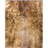 Image 2 : HORSE HIDE BLANKET 72"X68" (GOOD COINDITION)