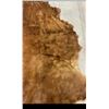 Image 3 : HORSE HIDE BLANKET 72"X68" (GOOD COINDITION)