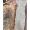 Image 5 : WESTERN CHAPS- LEATHER AND PAIR OF SPATS