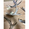 Image 3 : 4 DEER SHEDS
